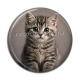 Cabochon Résine - chaton rayure gris