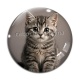 Cabochon Verre - chaton rayure gris