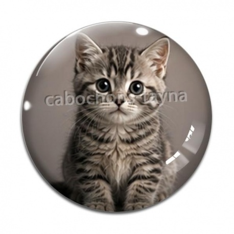 Cabochon Verre - chaton rayure gris