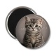 Magnet's - chaton rayure gris