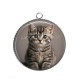 Pendentif Cabochon Argent - chaton rayure gris