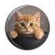 Cabochon Résine - chaton roux bol