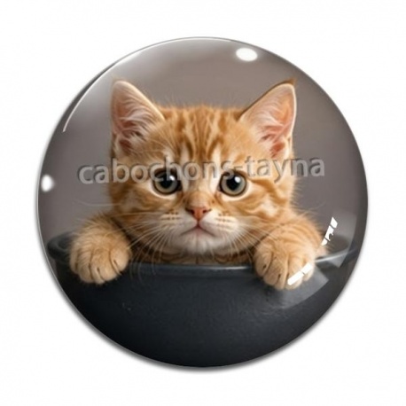 Cabochon Verre - chaton roux bol