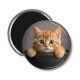 Magnet's - chaton roux bol