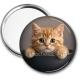 Miroir de poche - chaton roux bol