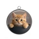 Pendentif Cabochon Argent - chaton roux bol