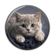 Cabochon Résine - chaton gris