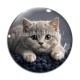 Cabochon Verre - chaton gris
