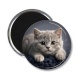 Magnet's - chaton gris