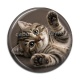Cabochon Résine - chaton frayer