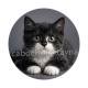 chaton noir et blanc