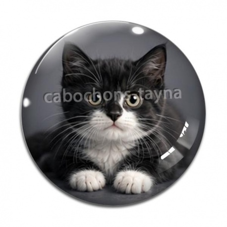 Cabochon Verre - chaton noir et blanc