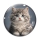 Cabochon Verre - chaton angora gris
