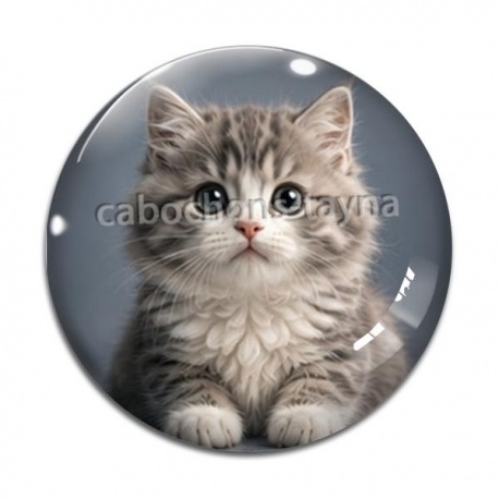 Cabochon Verre - chaton angora gris