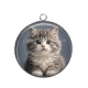 Pendentif Cabochon Argent - chaton angora gris