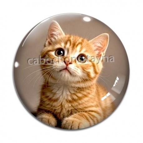 Cabochon Verre - chaton roux fond beige