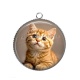 Pendentif Cabochon Argent - chaton roux fond beige