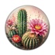 Cabochon Résine - cactus