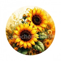 tournesol