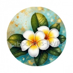 fleur frangipanier
