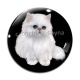 Cabochon Verre - chat blanc