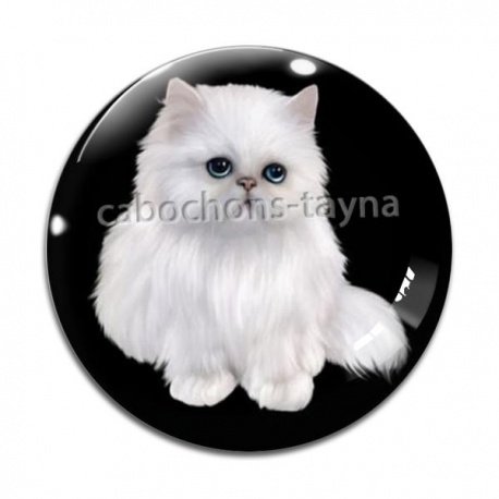 Cabochon Verre - chat blanc