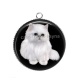 Pendentif Cabochon Argent - chat blanc