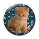 Cabochon Verre - chaton