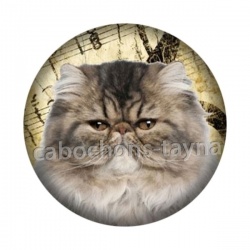 chat