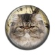 Cabochon Résine - chat