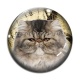 Cabochon Verre - chat