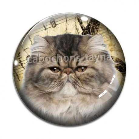 Cabochon Verre - chat