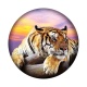 tigre