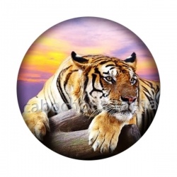 tigre