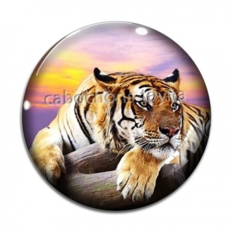 Cabochon Verre - tigre