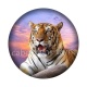 tigre