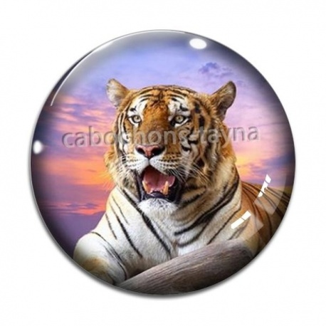 Cabochon Verre - tigre