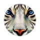 tigre