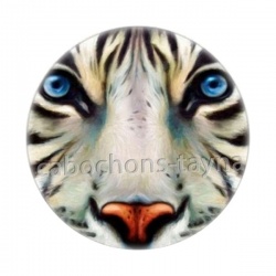 tigre
