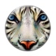 Cabochon Verre - tigre