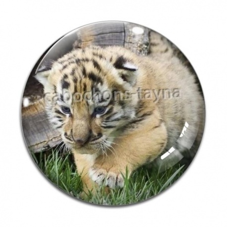 Cabochon Verre - lionceau