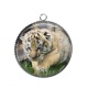 Pendentif Cabochon Argent - lionceau