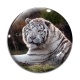 Cabochon Verre - tigre