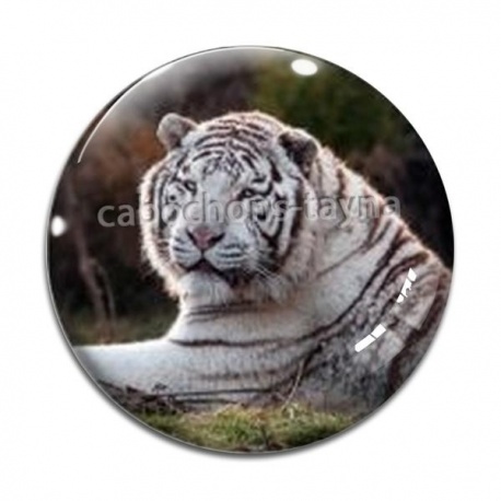 Cabochon Verre - tigre