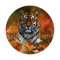 tigre