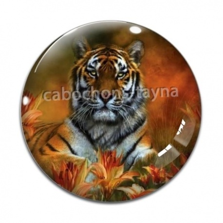 Cabochon Verre - tigre