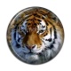 Cabochon Résine - tigre