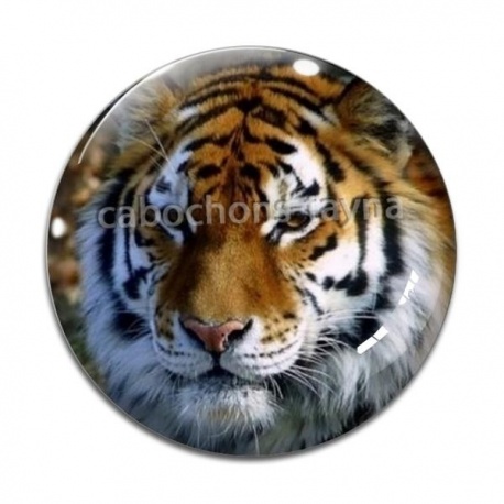 Cabochon Verre - tigre