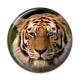 Cabochon Résine - tigre