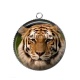 Pendentif Cabochon Argent - tigre
